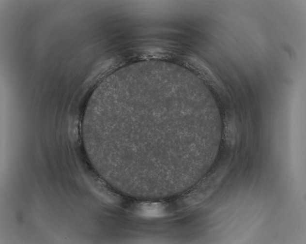 X0000111430169200908101123
