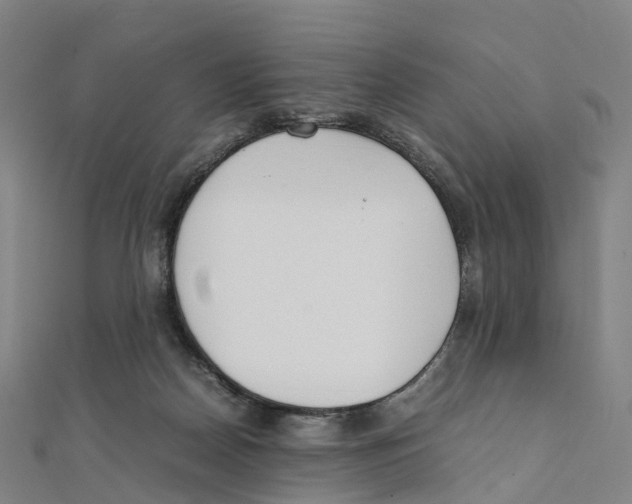 X0000111430170200908101123