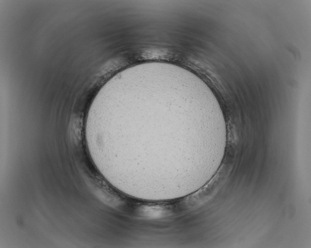 X0000111430171200908101123