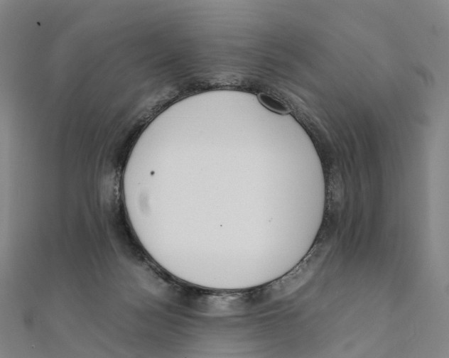 X0000111430172200908101123