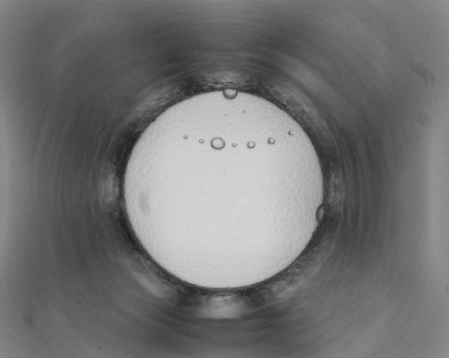 X0000111430173200908101123