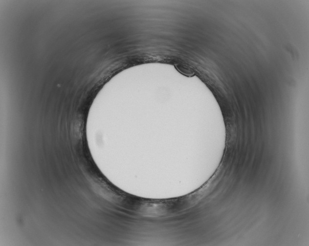 X0000111430174200908101123