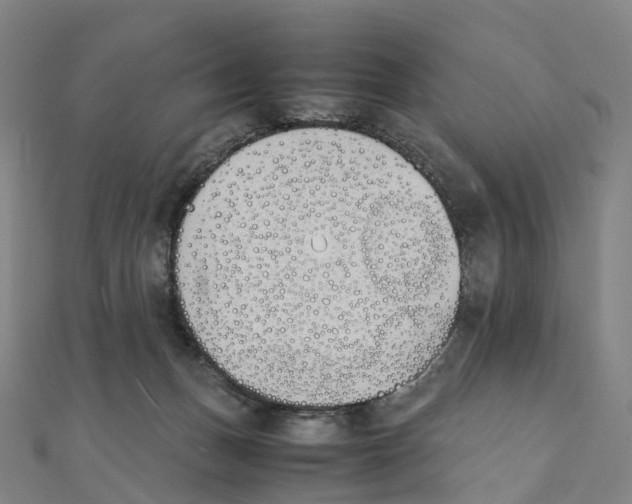 X0000111430175200908101123