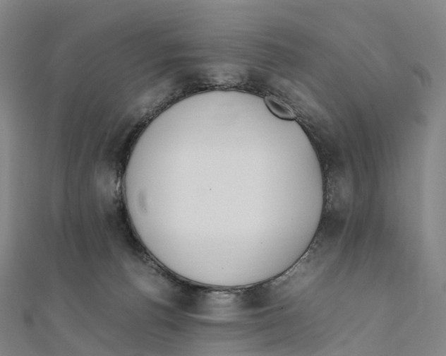 X0000111430176200908101123