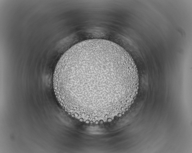 X0000111430177200908101123