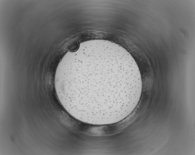 X0000111430178200908101123