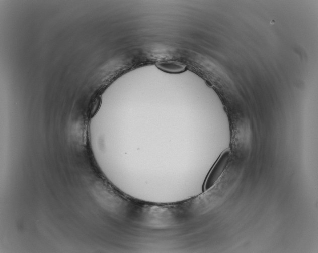 X0000111430180200908101123