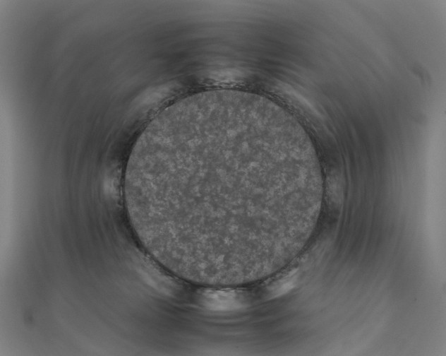 X0000111430181200908101123