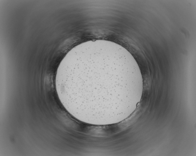 X0000111430182200908101123