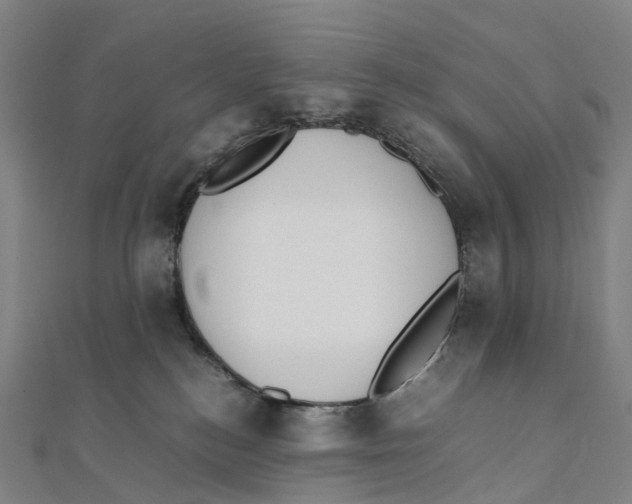 X0000111430184200908101123