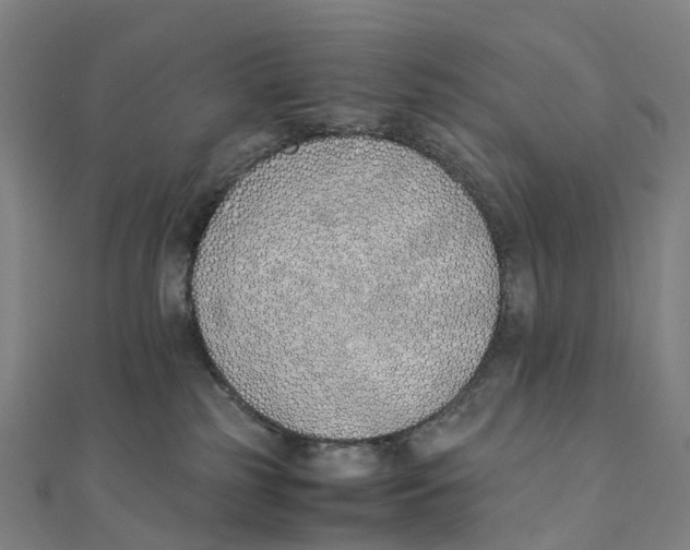 X0000111430185200908101123