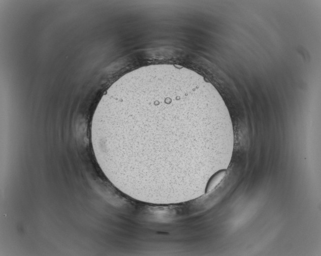 X0000111430187200908101123