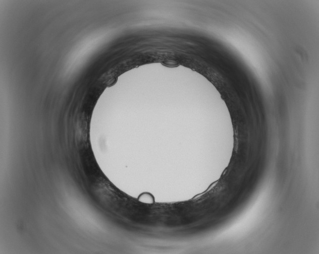 X0000111430190200908101123