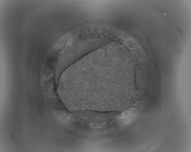 X0000111430192200908101123