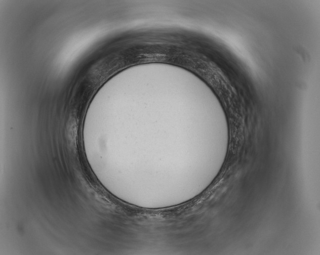 X0000111430194200908101123