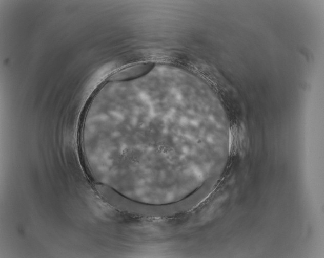 X0000111430195200908101123