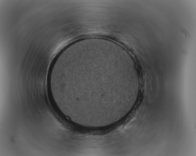 X0000111430196200908101123
