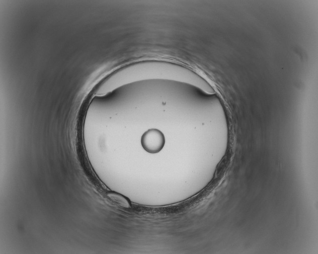 X0000111430199200908101123