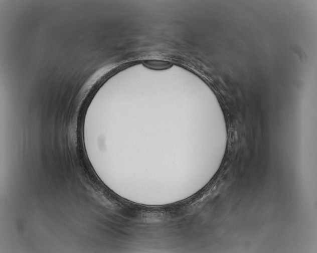 X0000111430200200908101123