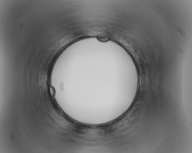X0000111430201200908101123