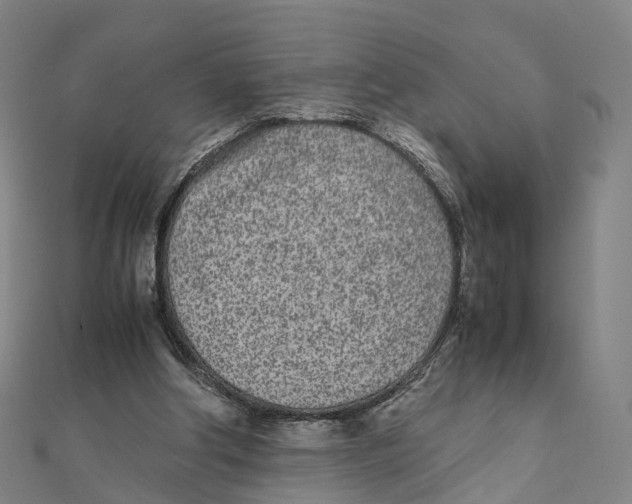 X0000111430202200908101123