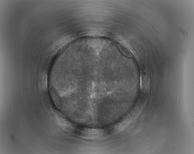 X0000111430205200908101123