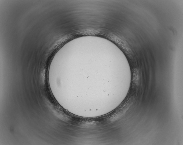 X0000111430206200908101123