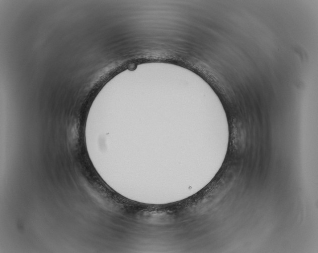 X0000111430208200908101122