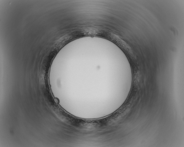 X0000111430209200908101122