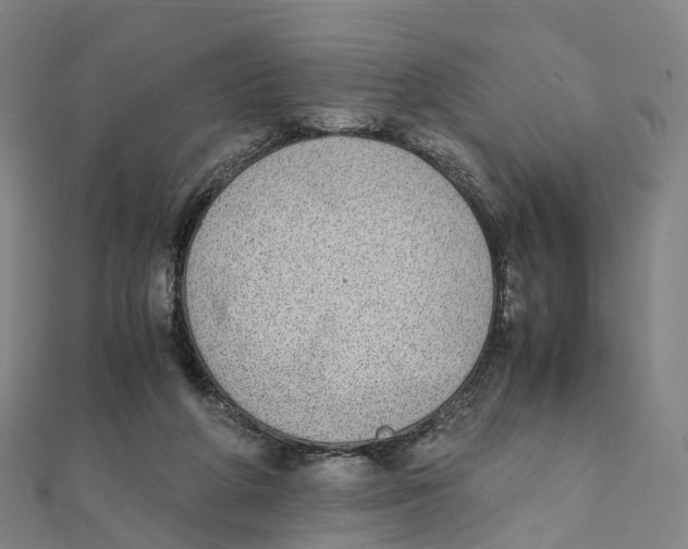 X0000111430210200908101122