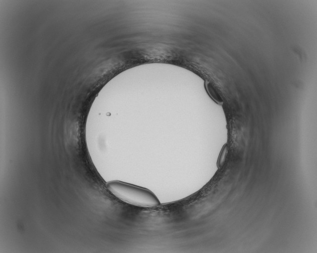 X0000111430211200908101122