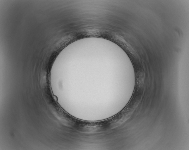 X0000111430213200908101122
