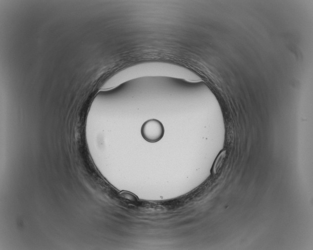 X0000111430215200908101122