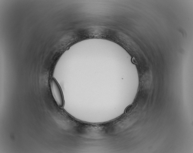 X0000111430217200908101122