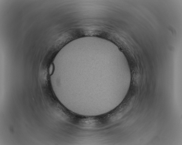 X0000111430219200908101122