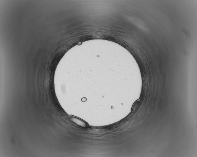 X0000111430221200908101122