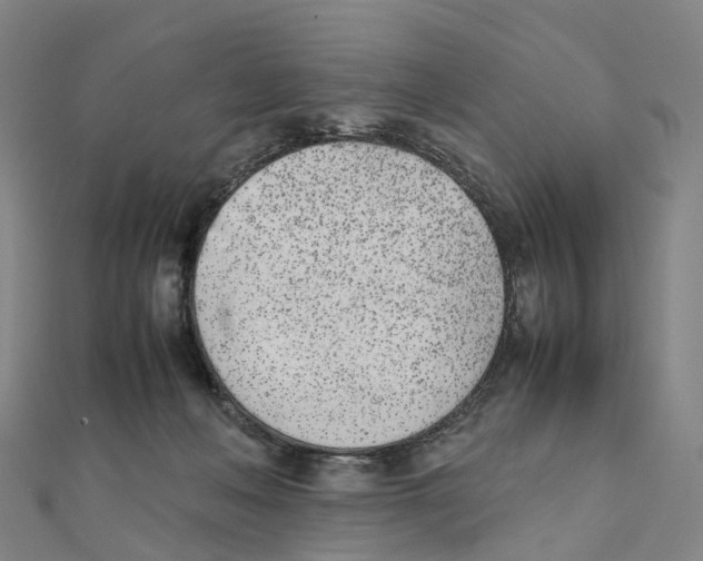 X0000111430222200908101122