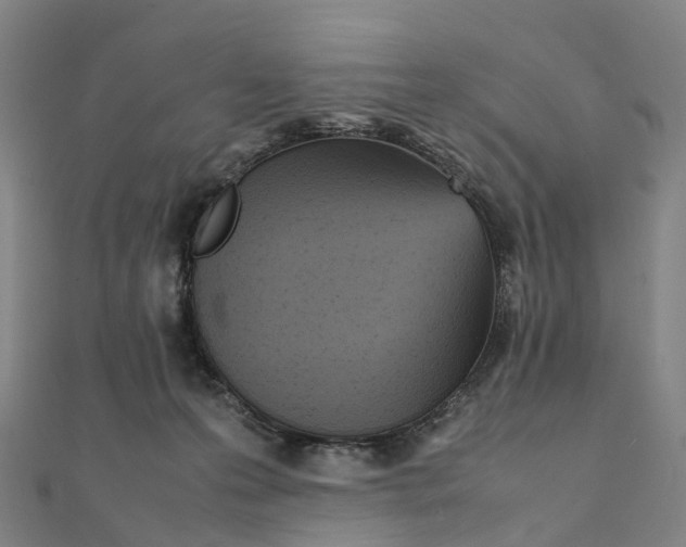 X0000111430223200908101122