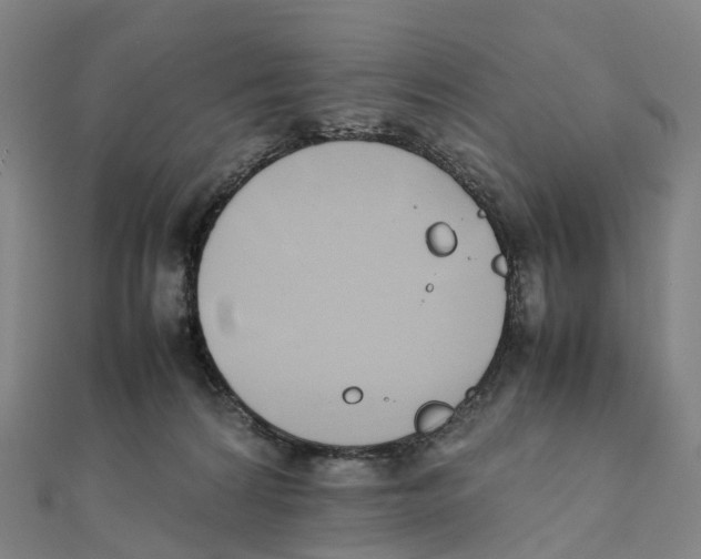 X0000111430224200908101122