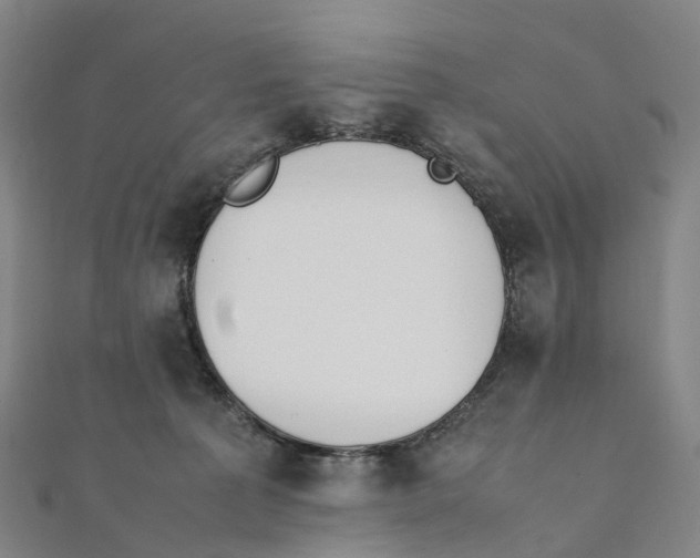X0000111430225200908101122