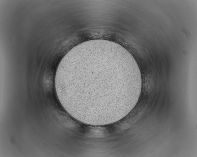 X0000111430226200908101122