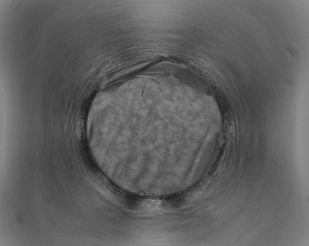 X0000111430227200908101122