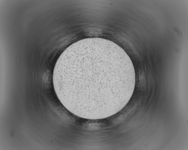 X0000111430228200908101122