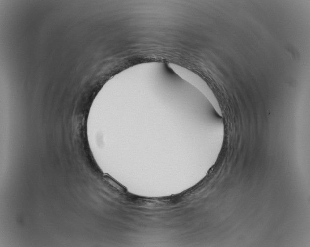 X0000111430229200908101122