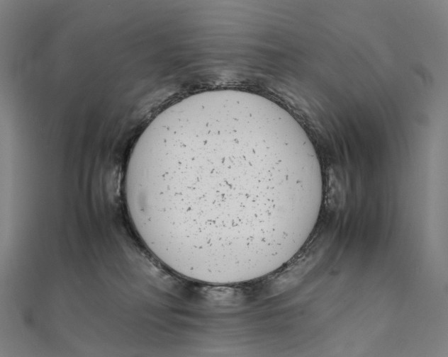 X0000111430230200908101122