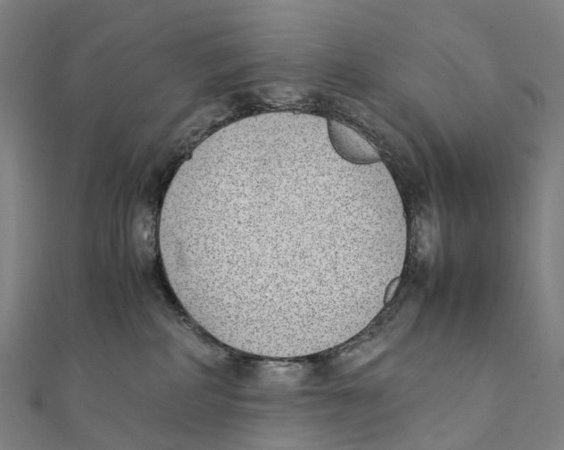 X0000111430234200908101122