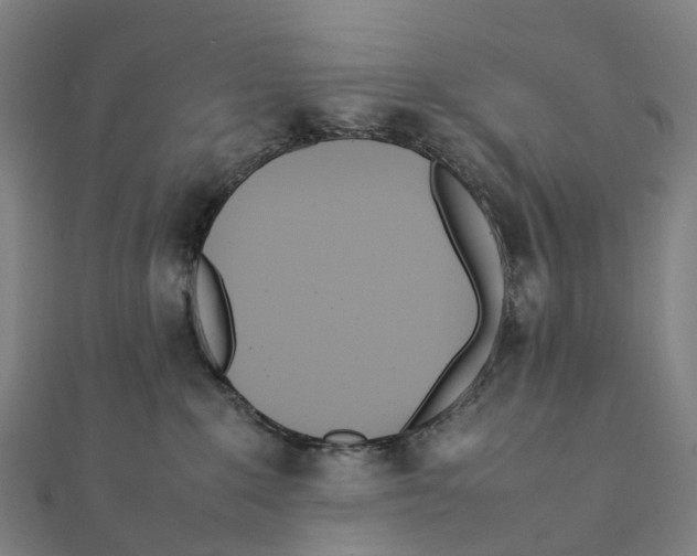 X0000111430235200908101122