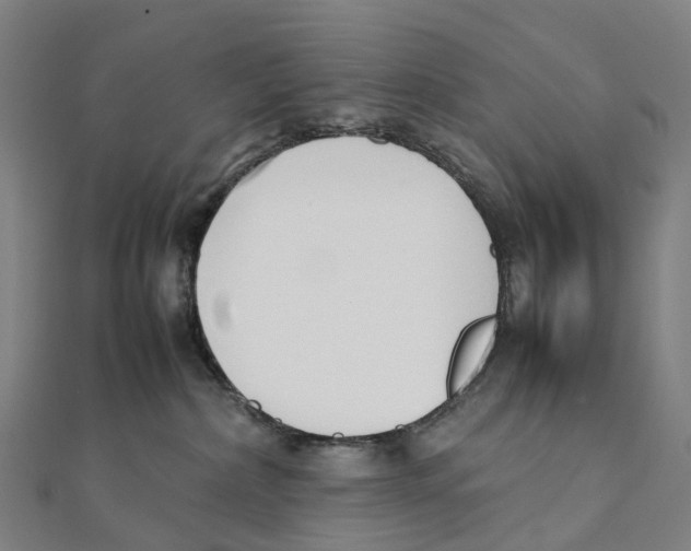 X0000111430236200908101122