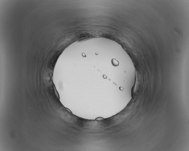 X0000111430237200908101122