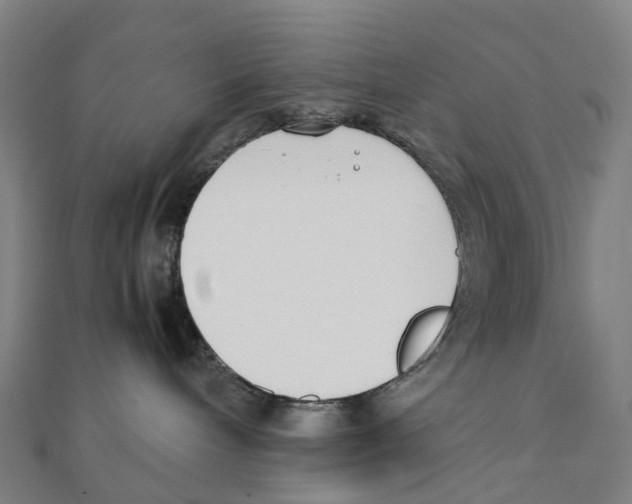 X0000111430240200908101122